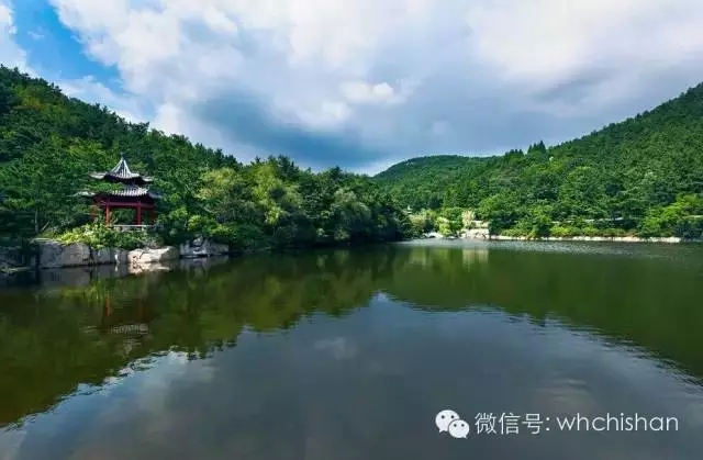 花期已過葉還未紅 去赤山賞云吧！