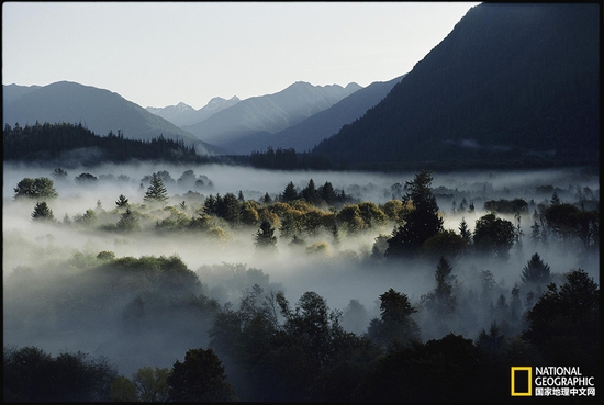 奧林匹克國家公園，華盛頓州攝影：Sam Abell，國家地理創(chuàng)意版