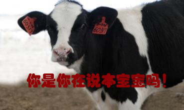 關(guān)我什么事！