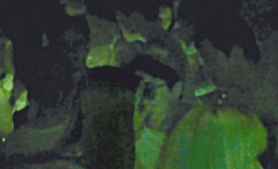 房祖名去年被港媒直擊在中環(huán)夜店與長(zhǎng)發(fā)妞互動(dòng)曖昧，女生正是Nana