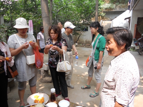 信息廣播為滎陽(yáng)杏農(nóng)獻(xiàn)愛(ài)心