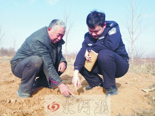 牡丹苗被盜之后，郭萬通又補種的牡丹苗已經(jīng)發(fā)芽