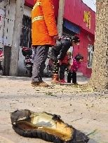 老漢右腿燒傷，樹(shù)下扔了一只燒焦的鞋