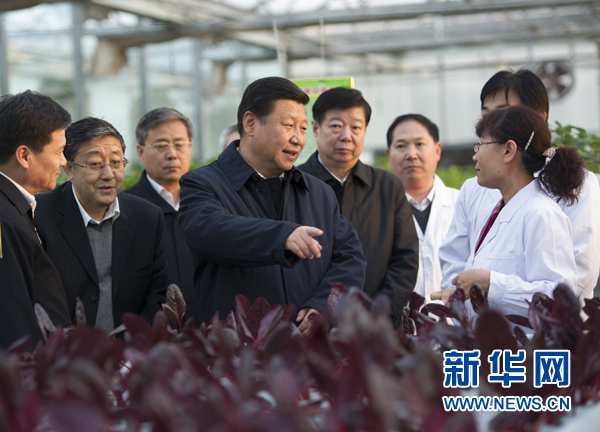  27日下午，習近平在山東省農(nóng)業(yè)科學院智能化溫室了解農(nóng)業(yè)科技創(chuàng)新情況。
