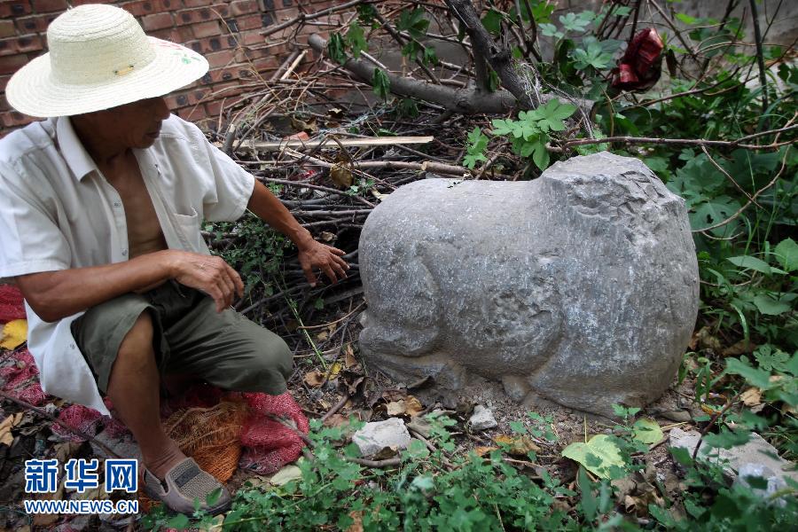 朝陽鎮(zhèn)后李村業(yè)余文保隊員，今年65歲的李連堂在上世紀平整土地時候，從地里挖出一個石羊殘身，至今仍放在