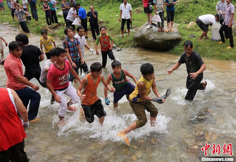 7月9日，村民在小河里摸魚搶魚。譚凱興 攝