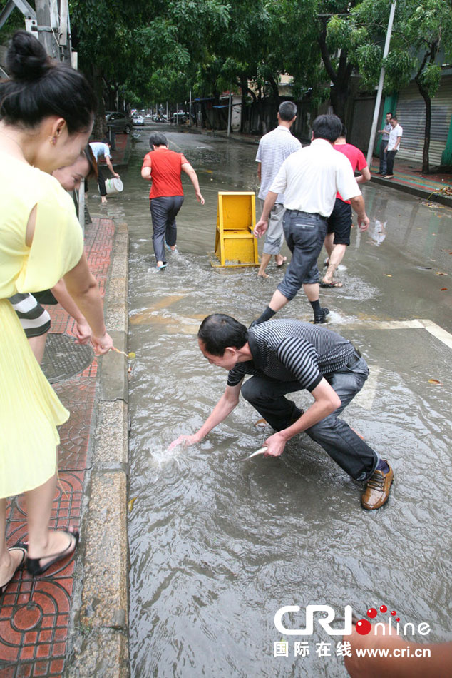 臺(tái)風(fēng)過(guò)后廈門城區(qū)積水 市民“渾水摸魚(yú)”收獲豐