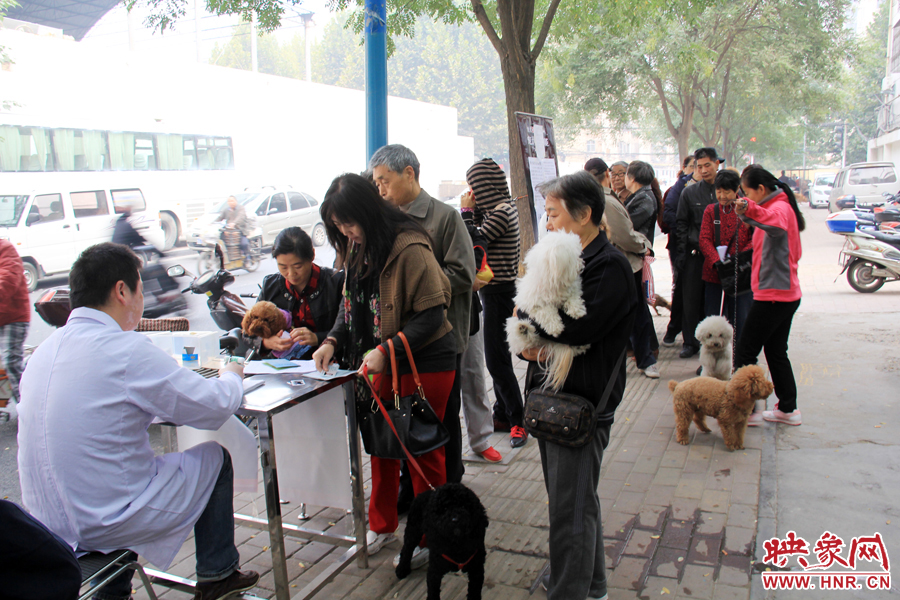 早上8點多，鄭州城市養(yǎng)犬金水區(qū)辦證點已經(jīng)排起了長隊