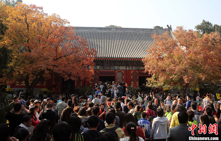 　10月26日，北京香山公園內(nèi)游客摩肩接踵。