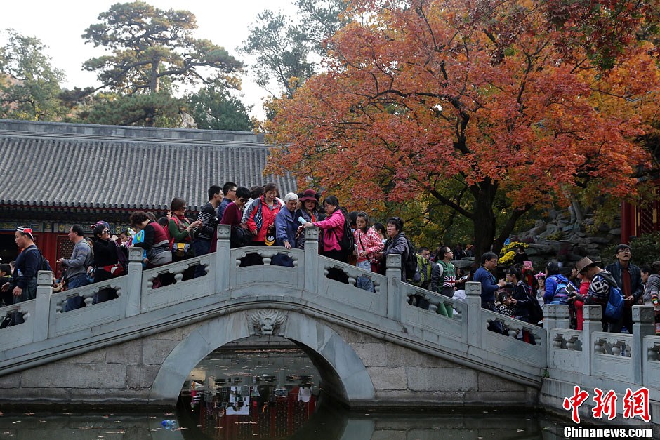 　10月26日，北京香山公園內(nèi)游客摩肩接踵。
