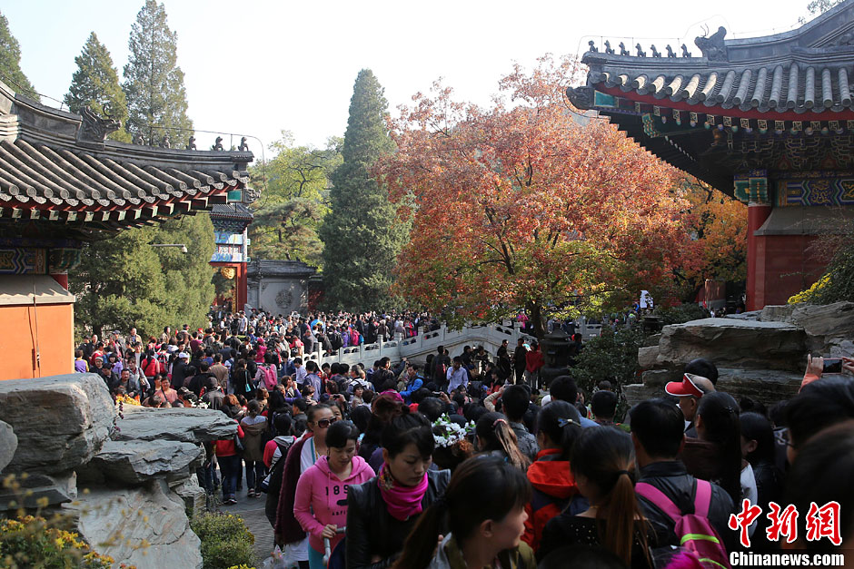 　10月26日，北京香山公園內(nèi)游客摩肩接踵。