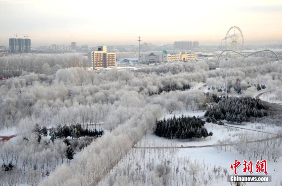 12月10日,受降溫天氣影響,黑河市黑龍江江畔出現(xiàn)綿延數(shù)公里的霧凇景觀。