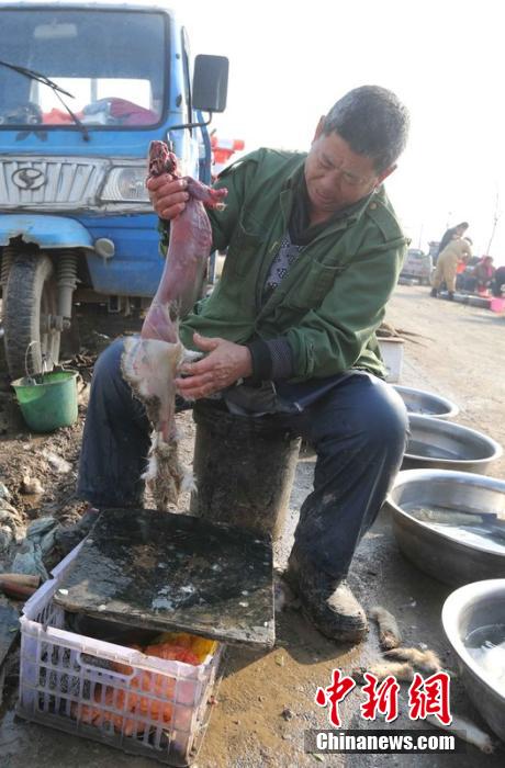 圖為12月1日，104國道靜海縣城附近，顧客挑好后，商販拎著死兔將皮完整地扒下來。田寶希 攝 圖片來