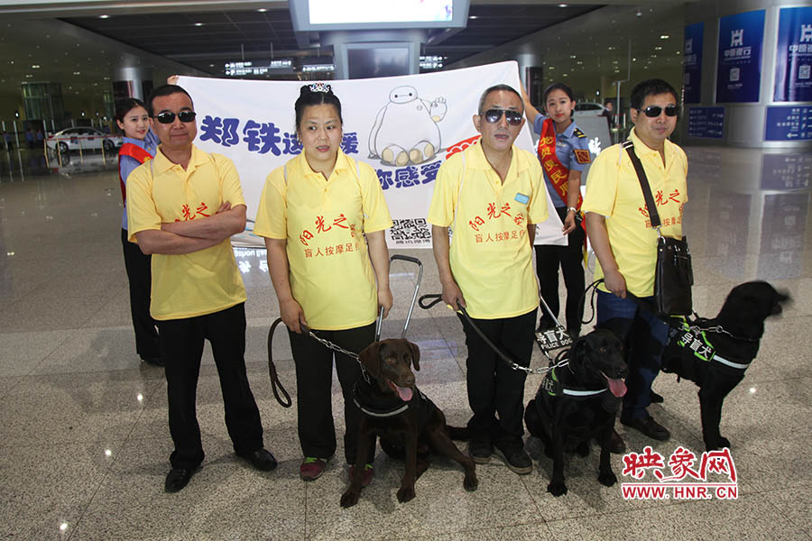 他們此次攜帶的導(dǎo)盲犬名字分別叫A米、戴安娜、凱西，A米是鄭州市第一條導(dǎo)盲犬。