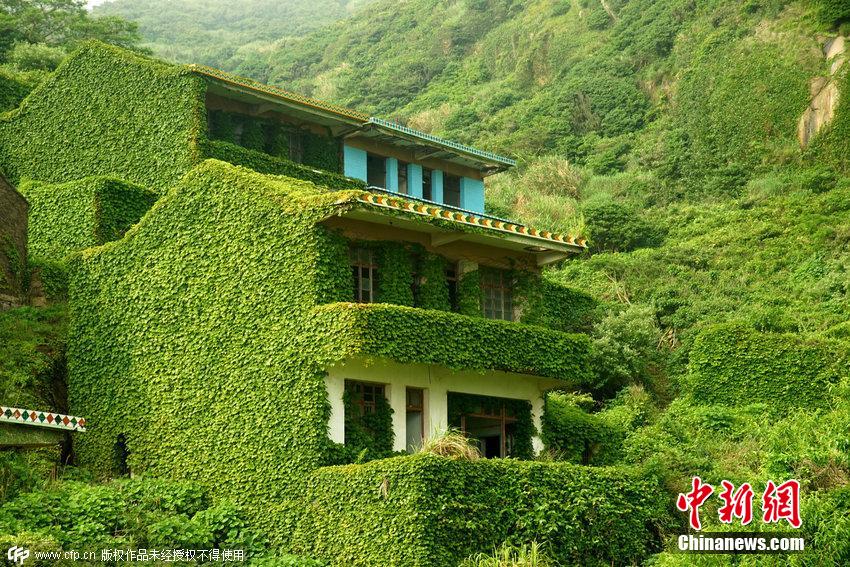 浙江舟山一荒廢海島宛如綠色童話(huà)世界