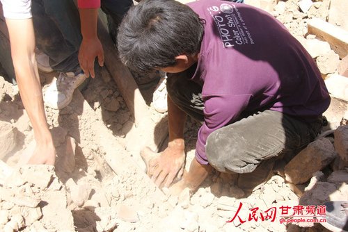 小黃狗露出了鼻子。王生元/攝