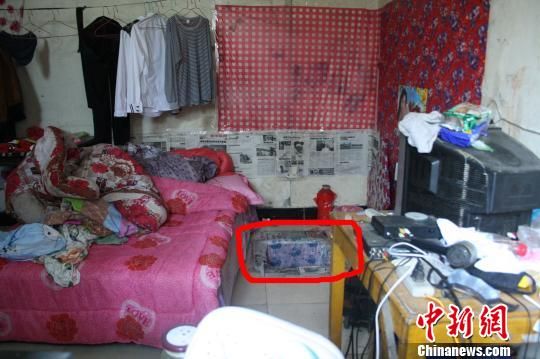 圖上紅圈內(nèi)為嫌犯所挖地窖入口。 吳佳蔚 攝