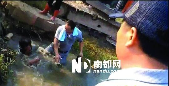 男子沒入水塘后試圖反抗，遭戴黑帽男子毆打。視頻截圖