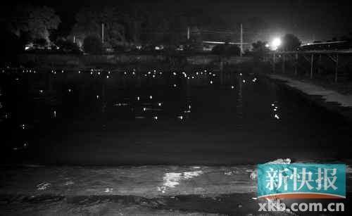 昨日，西湖村鱷魚養(yǎng)殖場已修復圍欄。