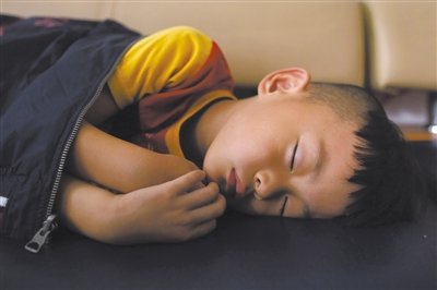 9月6日，等待錄制節(jié)目的多多躺在沙發(fā)上熟睡。新京報(bào)記者 侯少卿 攝