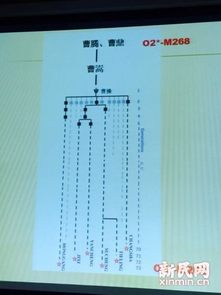 圖說：復(fù)旦課題組發(fā)布曹操家族DNA研究結(jié)果。新民網(wǎng) 記者 李欣 攝