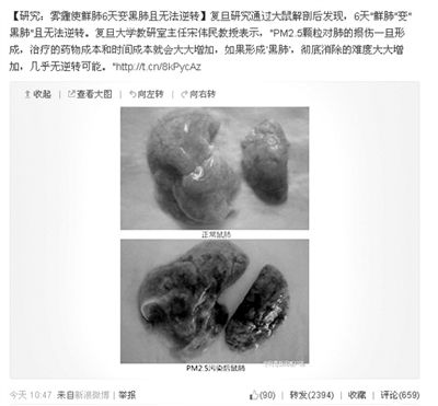 昨天，一則“霧霾使鮮肺6天變黑肺”的新聞在網(wǎng)上引發(fā)熱議。網(wǎng)絡截圖