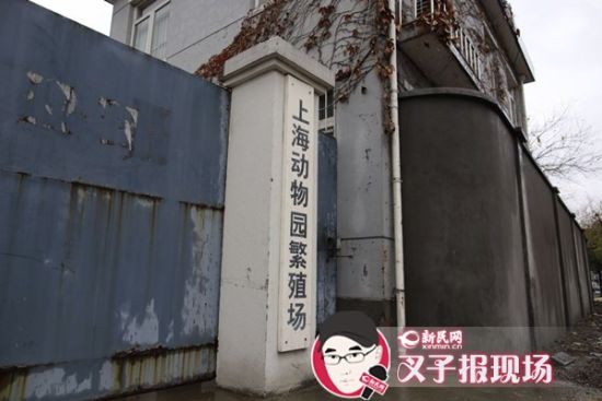圖說：新民網(wǎng)記者趕到時，上海動物園繁殖場大門緊閉。新民網(wǎng) 記者 蕭君瑋 攝