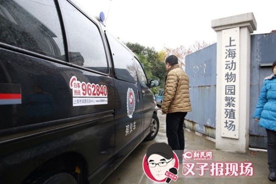 殯葬車到達現(xiàn)場。新民網(wǎng) 記者 蕭君瑋 攝