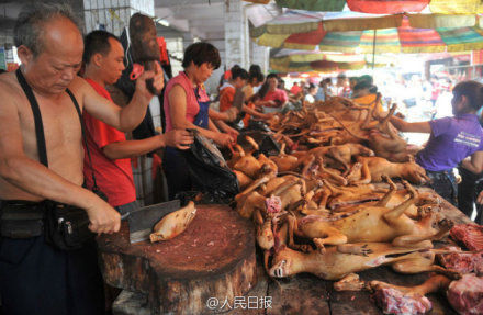 玉林狗肉節(jié)。