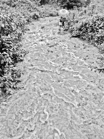梅子回家的山道，晴天是路，雨天是河