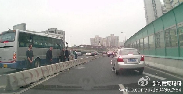 圖說:網(wǎng)友發(fā)布的老外在高架上行為不雅的照片。