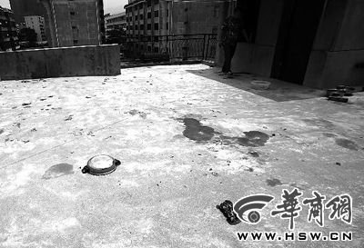 藏獒就養(yǎng)在這個樓頂，孩子從欄桿處墜落 本報記者 趙航 攝