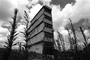 這幢5層的“片片樓”周圍已是一片拆遷后的廢墟，左邊的一堵墻上，不少鋼筋裸露在外面 圖片來源：新華網(wǎng)