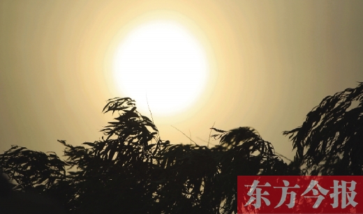 五月十四日，傍晚時分，鄭州的天空再次被沙塵遮蓋
