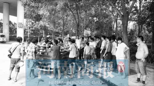 北環(huán)南陽(yáng)路立交橋下，瓜農(nóng)小秦被打后，附近瓜農(nóng)紛紛圍了上來(lái)