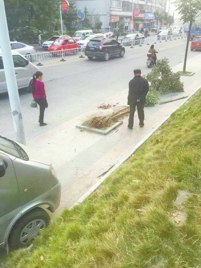 信陽(yáng)一轎車(chē)沖上人行道軋死嬰兒 司機(jī)疑醉駕