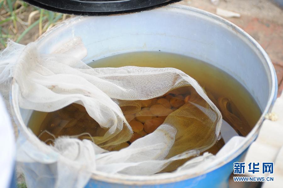 地下水成“綠茶”　污染二十多年該誰(shuí)治？