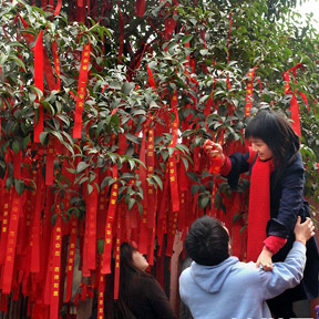 中原民俗文化大觀(guān)園