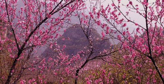 撿垃圾換玫瑰 女人節(jié) 愛在神農(nóng)山！