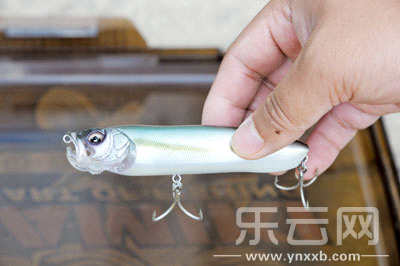 　　又稱擬餌釣魚,起源于歐洲,國內翻譯為“路亞”。