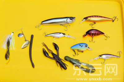　　又稱擬餌釣魚,起源于歐洲,國內翻譯為“路亞”。