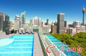 酒店屋頂游泳池俯瞰公園美景。
