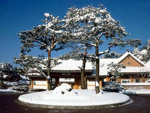 韓國(guó)冬季旅游的八大備忘