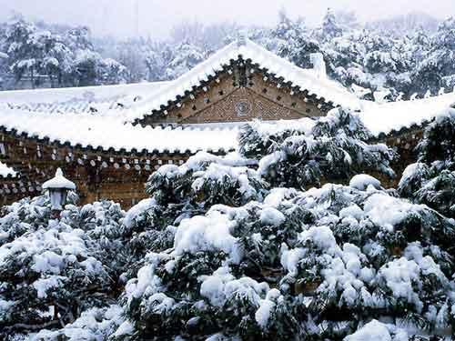 韓國(guó)冬季旅游的八大備忘