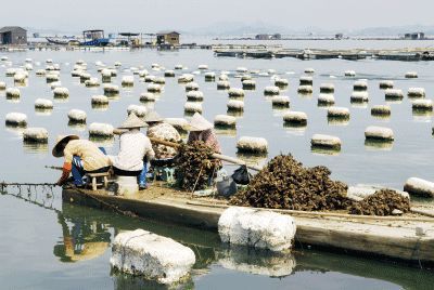以漁為生，造就了他們不同于內(nèi)地的口味