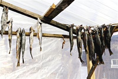 長白山腳下一家小餐館內(nèi)晾曬的冷水魚。