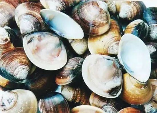 秋季最適合吃的海鮮是這10種 你吃對了嗎？