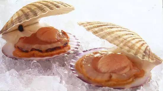 秋季最適合吃的海鮮是這10種 你吃對了嗎？