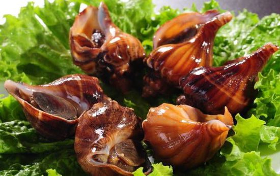 秋季最適合吃的海鮮是這10種 你吃對了嗎？