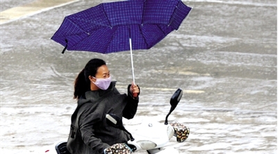 昨日下午，隴海路上，雨中風(fēng)大，一位女士的傘被吹翻了。